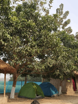 Sustainable Tourism